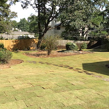 Shrubs-Sod 16
